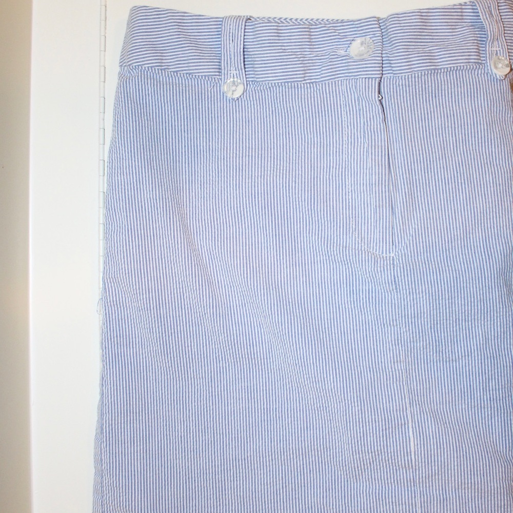 Seersucker Skirt by Jennifer and Grace blue size 8